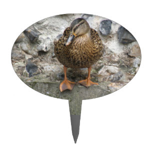 Duck on a Wall Cake Pick
