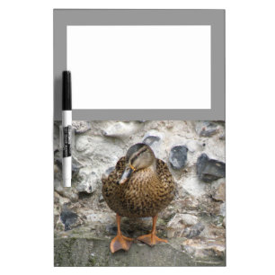 Duck on a Wall Memo Board