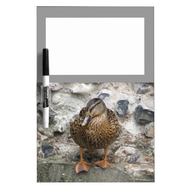 Duck on a Wall Memo Board (Front)