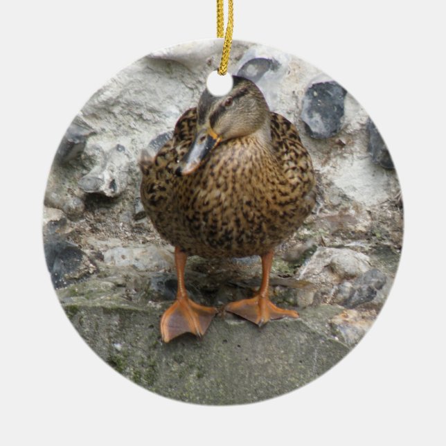 Duck on a Wall Ornament (Front)