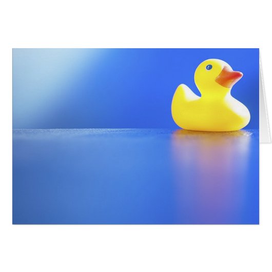 Duck on Blue Cards (Front Horizontal)