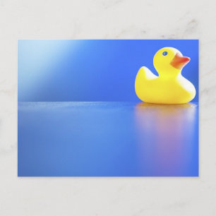 Duck on Blue Postcard