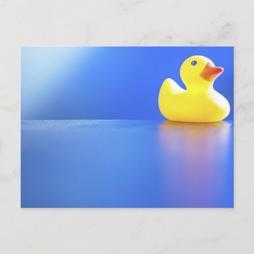 Duck on Blue Postcard