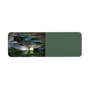 Duck On The Lake Label