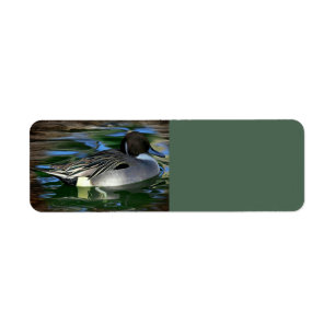Duck On The Lake Label