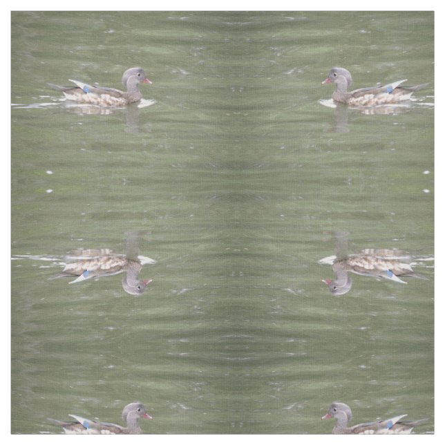 Duck on the Lake Patterned Animal Fabric (Swatch)
