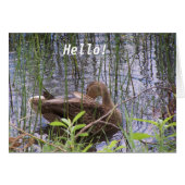 Duck on the water (Front Horizontal)