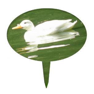 Duck on the Water Cake Pick