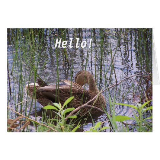 Duck on the water cards (Front Horizontal)