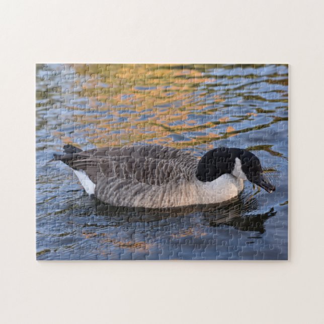 Duck on the Water Regent's Park London UK Jigsaw Puzzle (Horizontal)