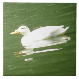 Duck on the Water Tile