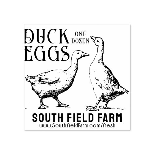 DUCK or GOOSE EGGS Farm Market Stamp Vintage Ducks