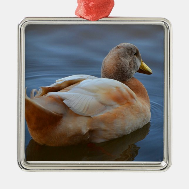 Duck Ornament (Front)