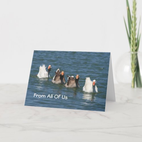 Duck Photo Birthday Greeting Card