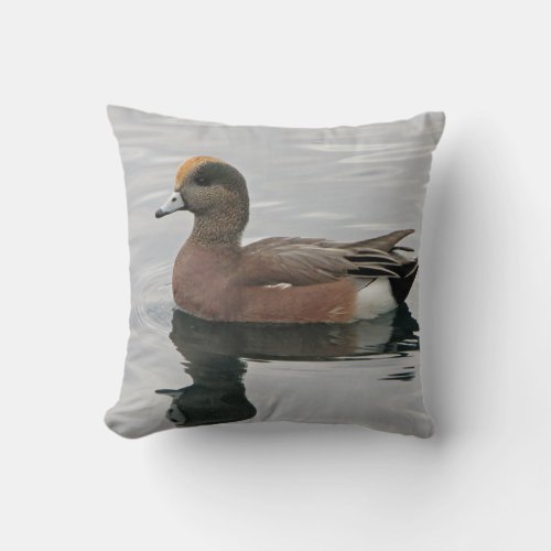 Duck Photo Lake Bird Wigeon Blue Brown Calm Water Throw Pillow