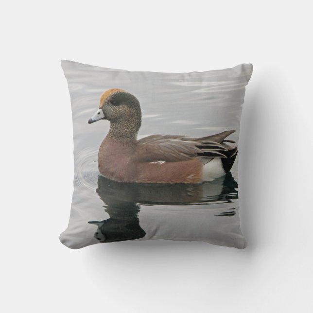 Duck Photo Lake Bird Wigeon Blue Brown Calm Water Throw Pillow (Front)