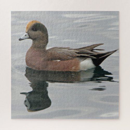 Duck Photo Male Wigeon on Calm Water Reflection Jigsaw Puzzle