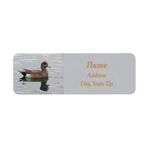 Duck Photo Male Wigeon on Calm Water Reflection Label