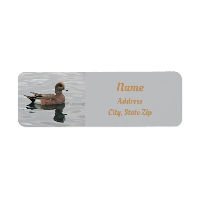 Duck Photo Male Wigeon on Calm Water Reflection Label (Front)