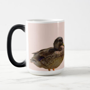Duck Photo Mug