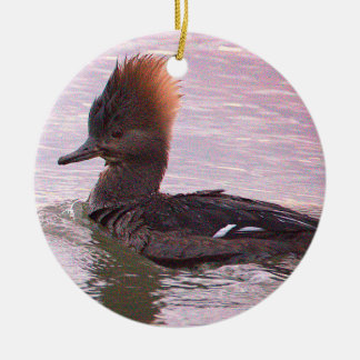 Duck Photo Ornament