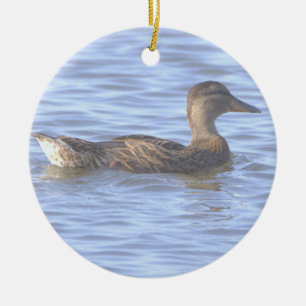 Duck Photo Ornament 