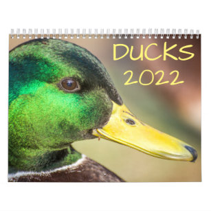 Mallards Schedule 2022 Duck Calendars | Zazzle