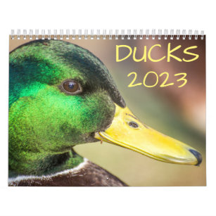 Duck Photography 2023 Calendar
