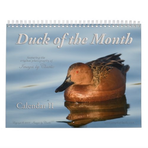 Duck Photos Wall Calendar