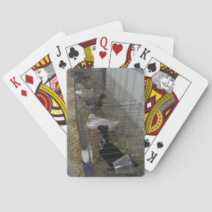 Duck Playing Cards