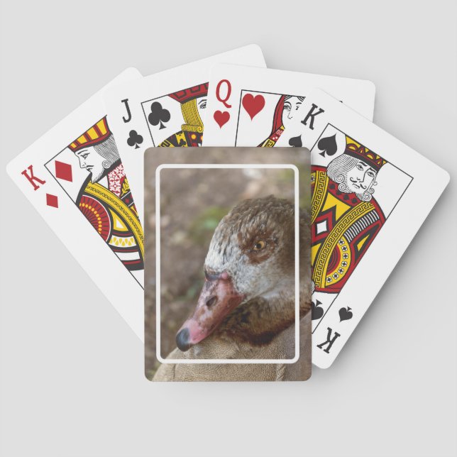 Duck Poker Cards (Back)