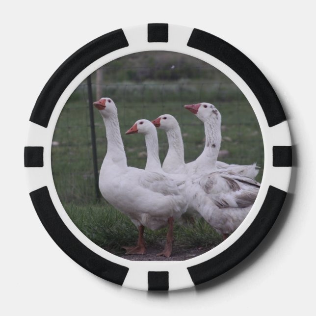 Duck Poker Chips (Front)