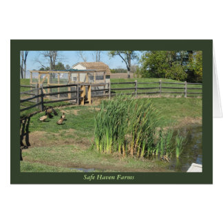 Duck Pond at Safe Haven Farms Cards
