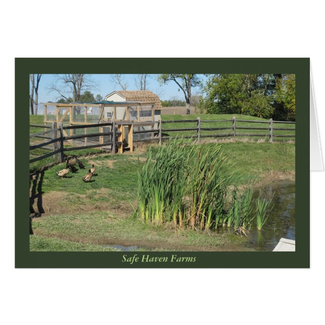 Duck Pond at Safe Haven Farms Cards (Front Horizontal)