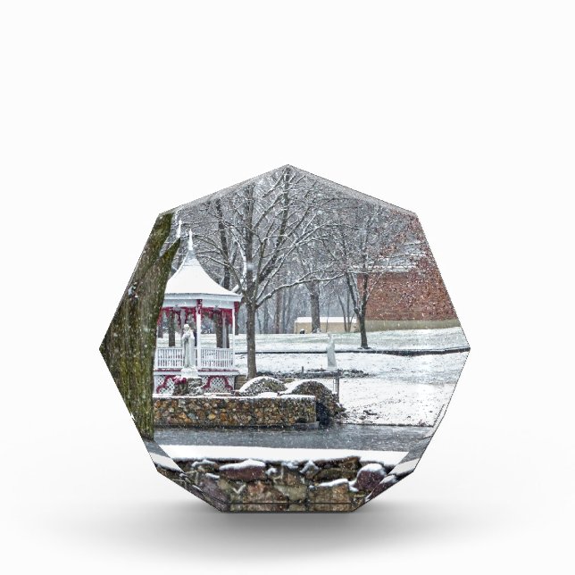 Duck Pond at Ste. Marie Du Lac Acrylic Award (Front)