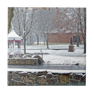 Duck Pond at Ste. Marie Du Lac Tile