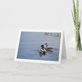 Duck Pond Greeting Card
