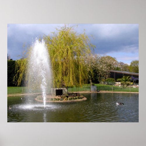 Duck pond in springtime poster