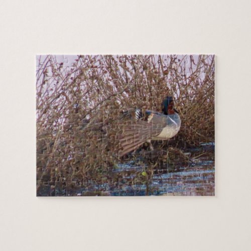 duck pose jigsaw puzzle