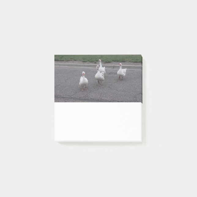 Duck Post it Notes (Front)