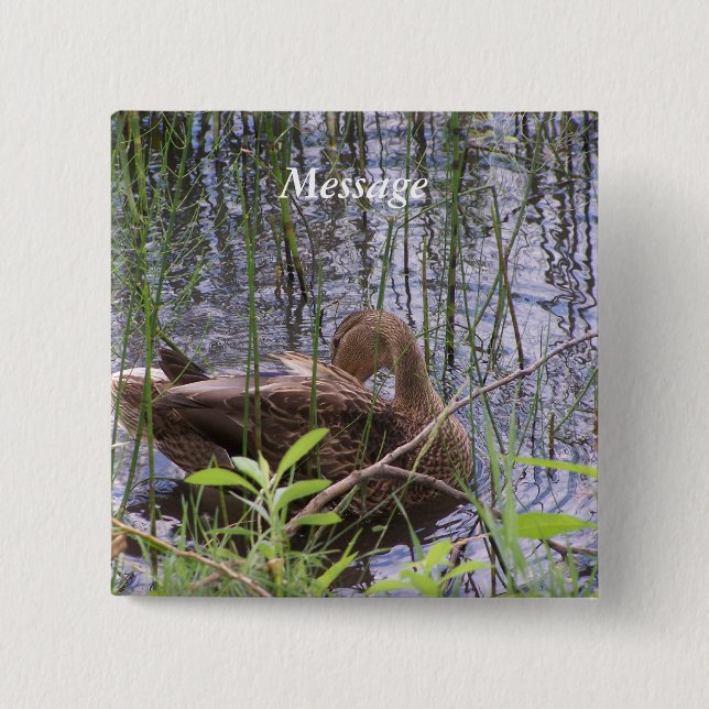 Duck Preening in the Reeds Button (Front)