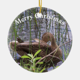 Duck Preening in the Reeds Ceramic Ornament