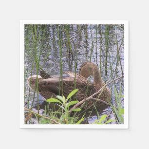 Duck Preening in the Reeds Napkins
