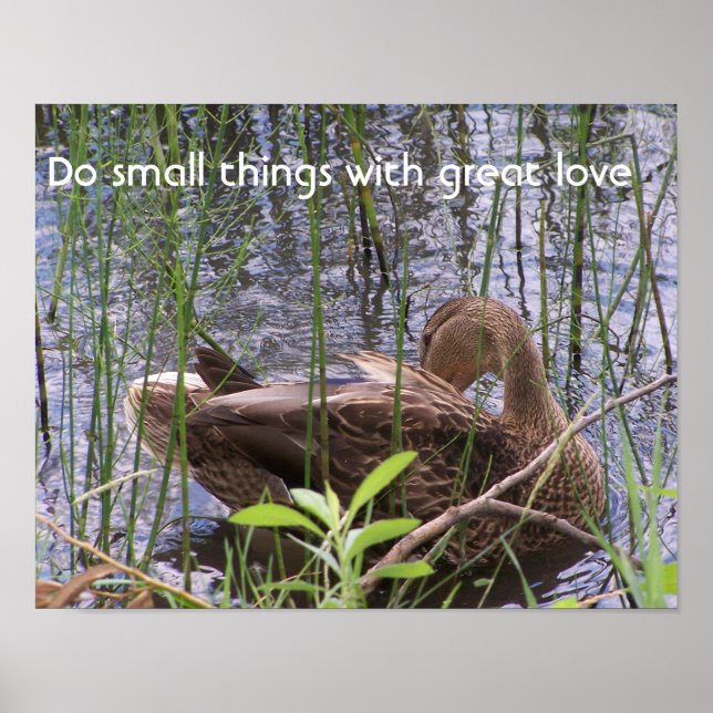 Duck Preening in the Reeds Poster (Front)