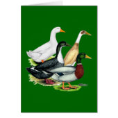 Duck Quartet (Front)