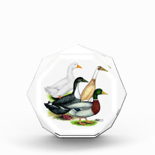 Duck Quartet Award