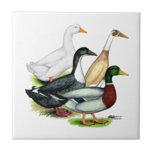 Duck Quartet Tile