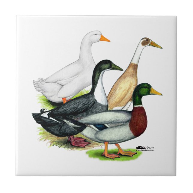 Duck Quartet Tile (Front)