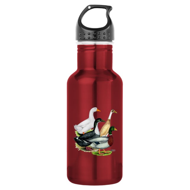 Duck Quartet Water Bottle (Front)