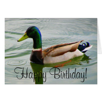 Happy Birthday Duck Cards | Zazzle